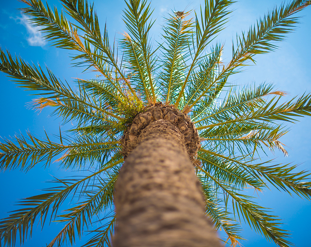 Other Hotels  and Airbnbs